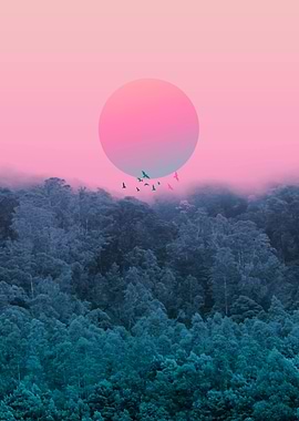 Landscape & gradients IV