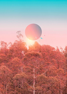 Landscape & gradients V