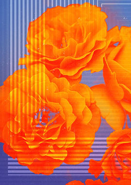 The Glitch Hiatus 01