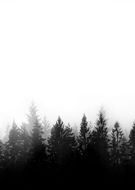 Scandinavian Forest