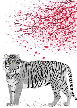 Cherry tree Tiger