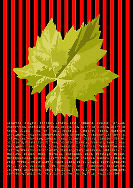 Wine Leaf and Types