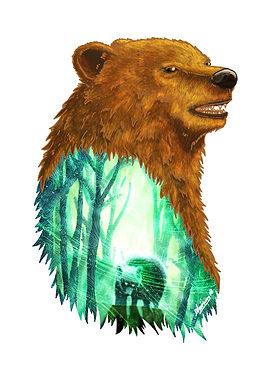 Bear's Forest