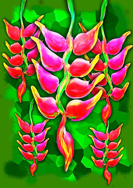 Exotic Flowers Heliconia Pendula Bright Red