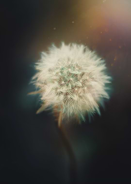 May nothing but hapiness come through your door