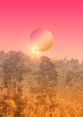 Landscape & gradients VIII