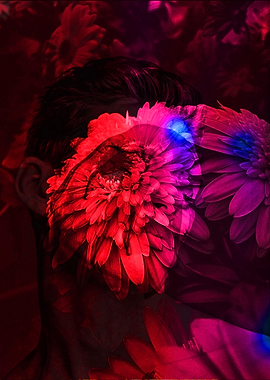 The man the flower and the phoenix