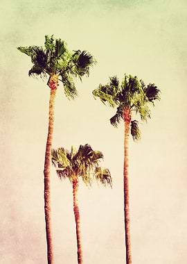 PASTEL PALM TREES no2