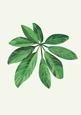 Tropical Leaf