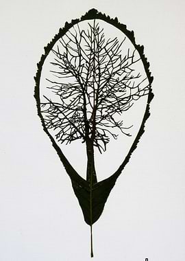 Chestnut tree cut in its chestnut leaf