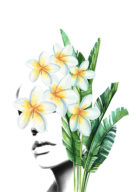 Plumeria portrait