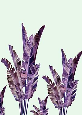 Banana leaves over green background