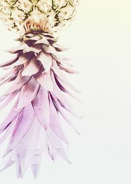 PASTEL PINEAPPLE no2d