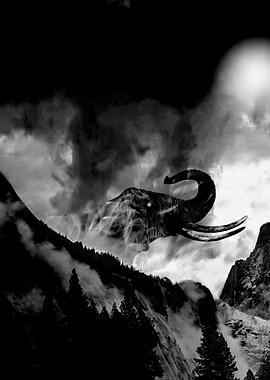 elefant in the mist