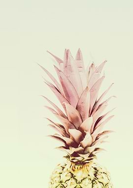 PASTEL PINEAPPLE no1b