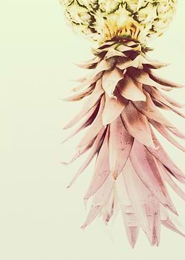 PASTEL PINEAPPLE no1d
