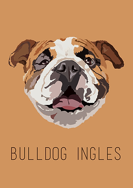 Bulldog ingles!