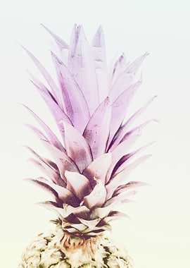 PASTEL PINEAPPLE no2c