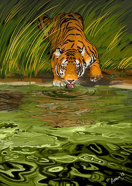 Oily Swamp Tiger