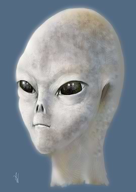 Gray Alien