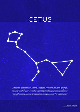 Cetus The Constellations Minimalist Series 22
