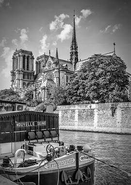 PARIS Cathedral Notre Dame
