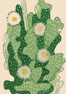 Blooming Cacti