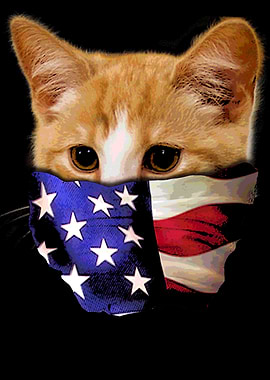 Cat American Bandana