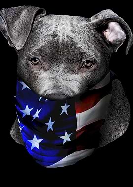 Dog American Bandana