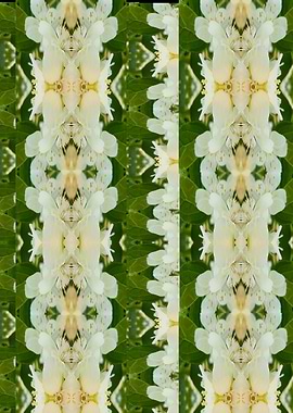 climbing and loving flowers