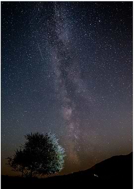 When the stars light up