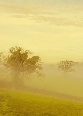 Devon Fog 22