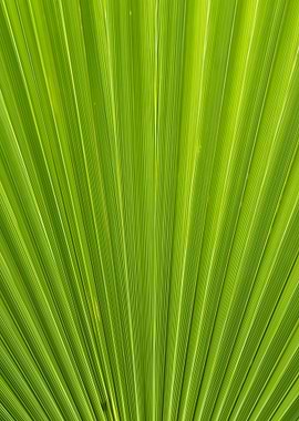 green leaf