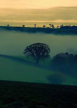 Devon Fog 21