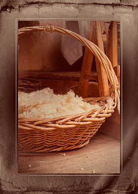 wool in basket