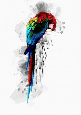 Ink_Parrot