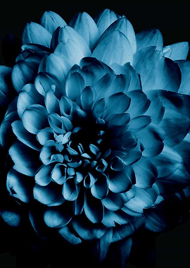 Blue Floral wall decor