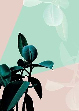 Plant pastel decor