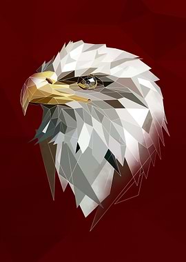 White Eagle Sketch