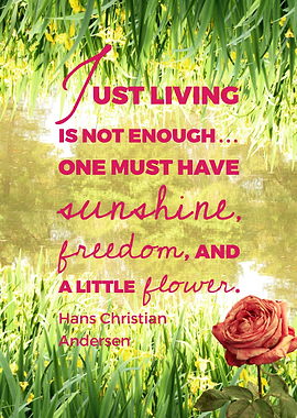 Sunshine, freedom, flower.