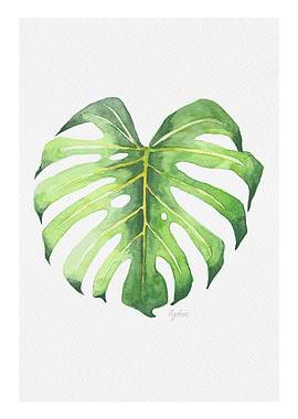 Botanicals: Monstera Leaf