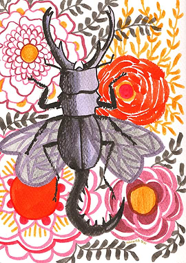 Armoured Grief Beetle