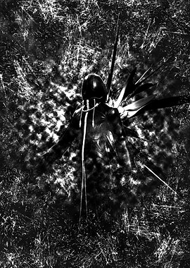 The 13 Darkness