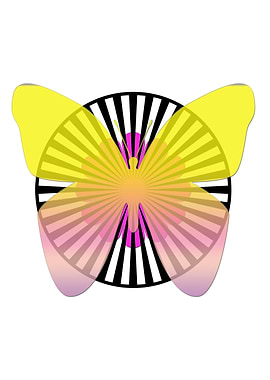 Butterfly and pink flower