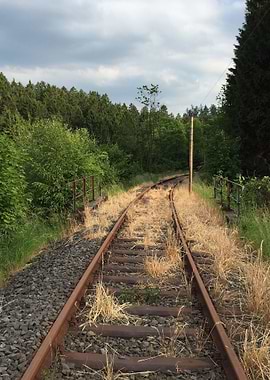Along the Tracks