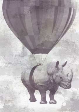 Rhino on Clouds