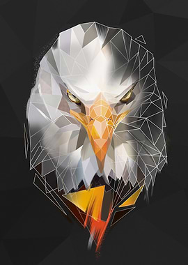 Eagle sketch