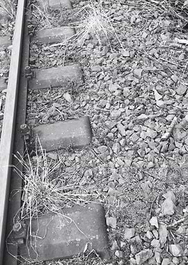 Railway in Black & White