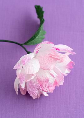 Crepe paper peony