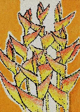 Lobster Claw Mosaic